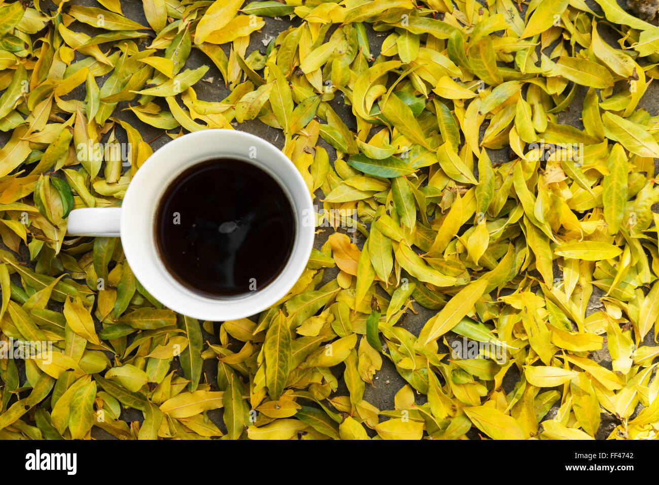 Hot coffee book vintage autumn hi-res stock photography and images - Alamy