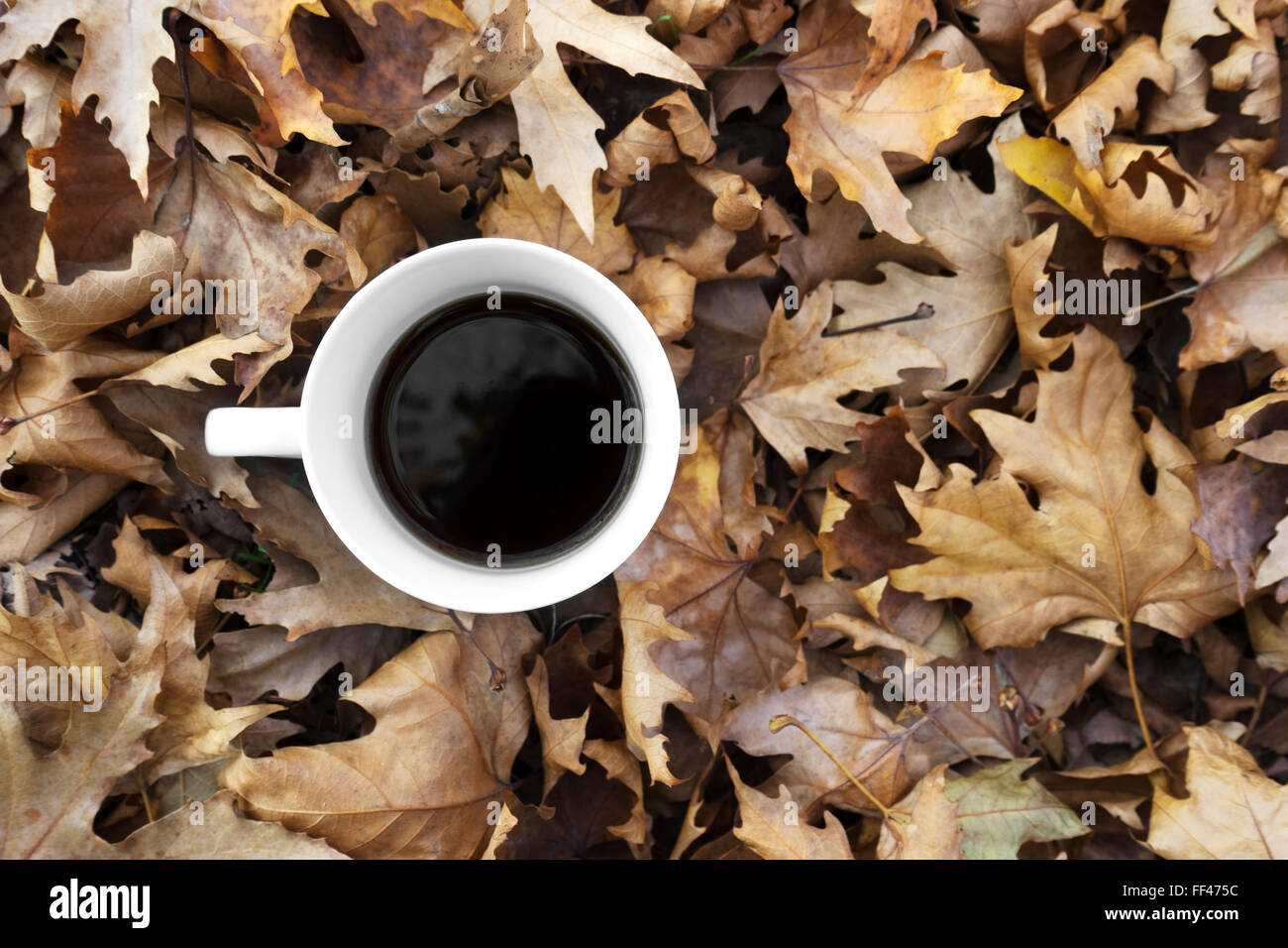 Hot coffee book vintage autumn hi-res stock photography and images - Alamy