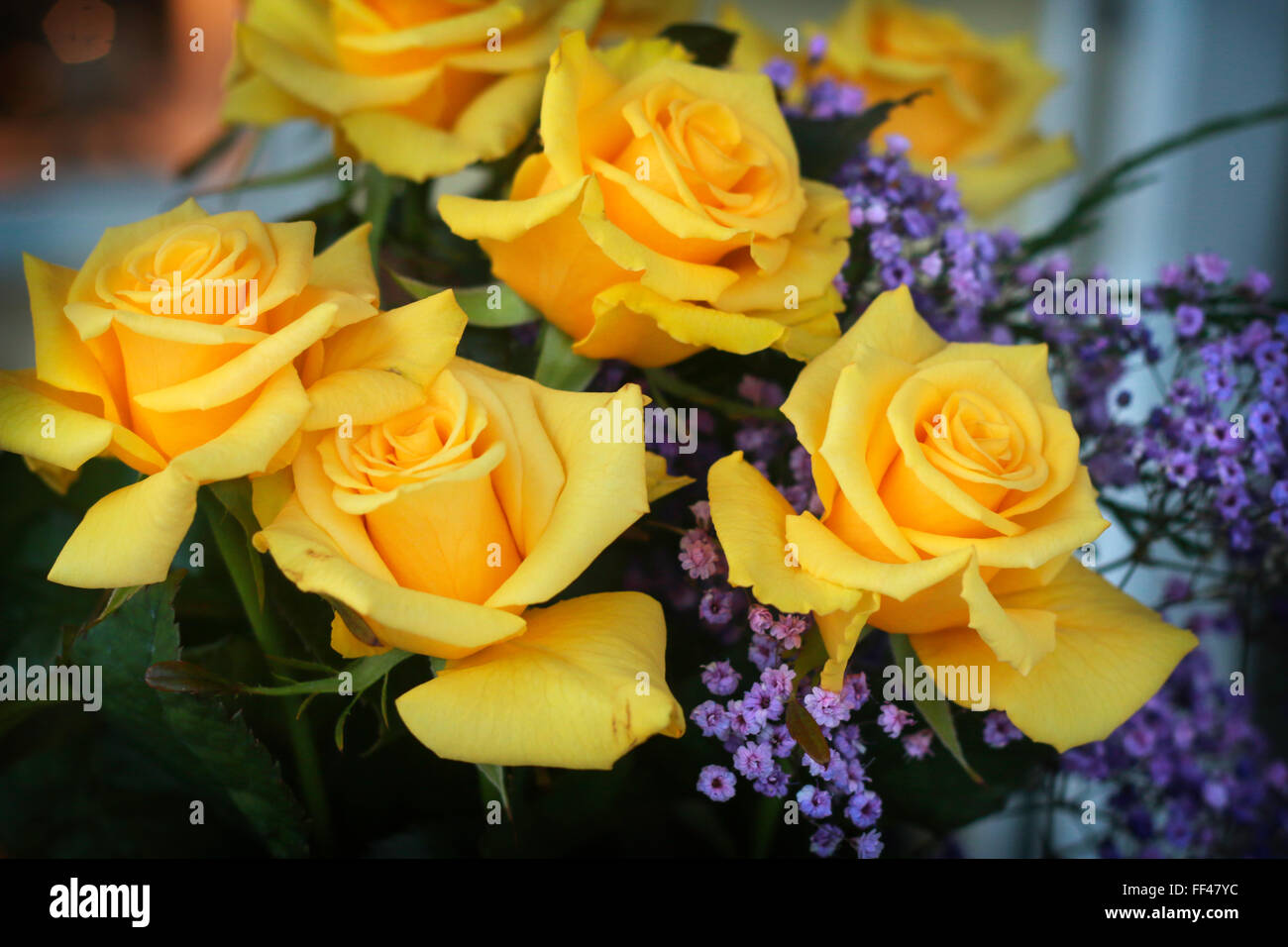 Yellow Roses Bouquet Stock Photo - Alamy