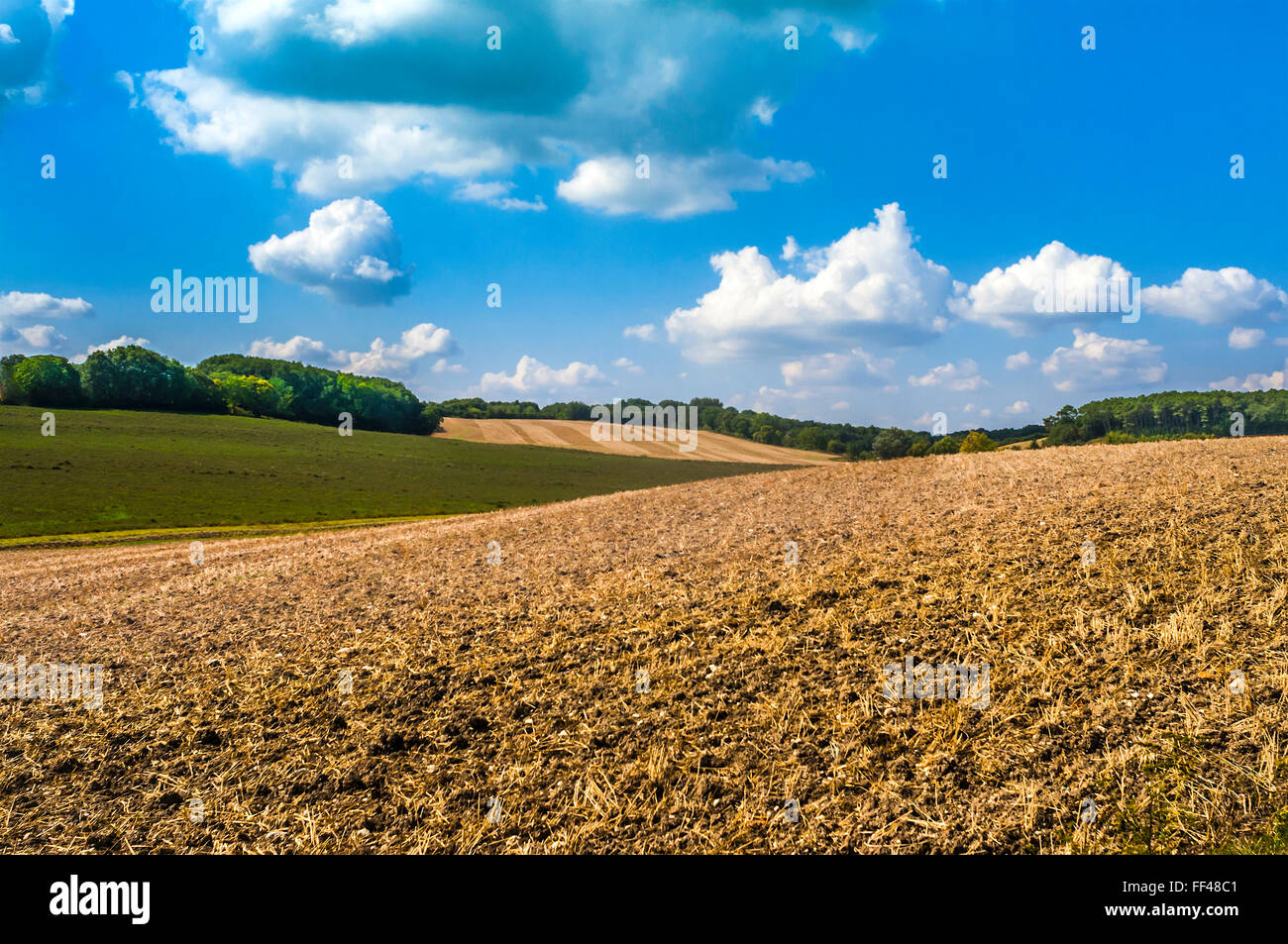 Edge of cultivated farmland - France. Stock Photo
