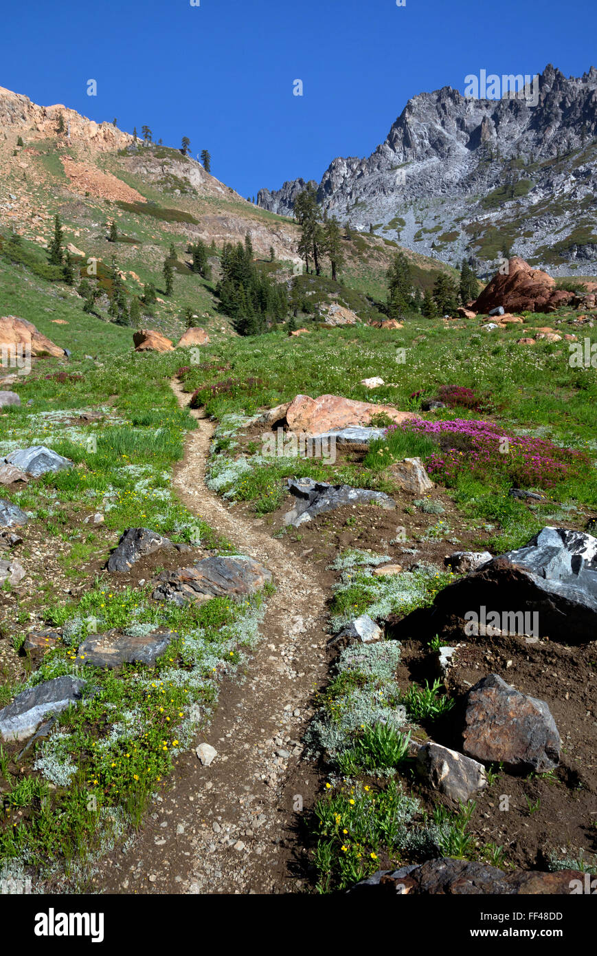 Long canyon outlet trailhead