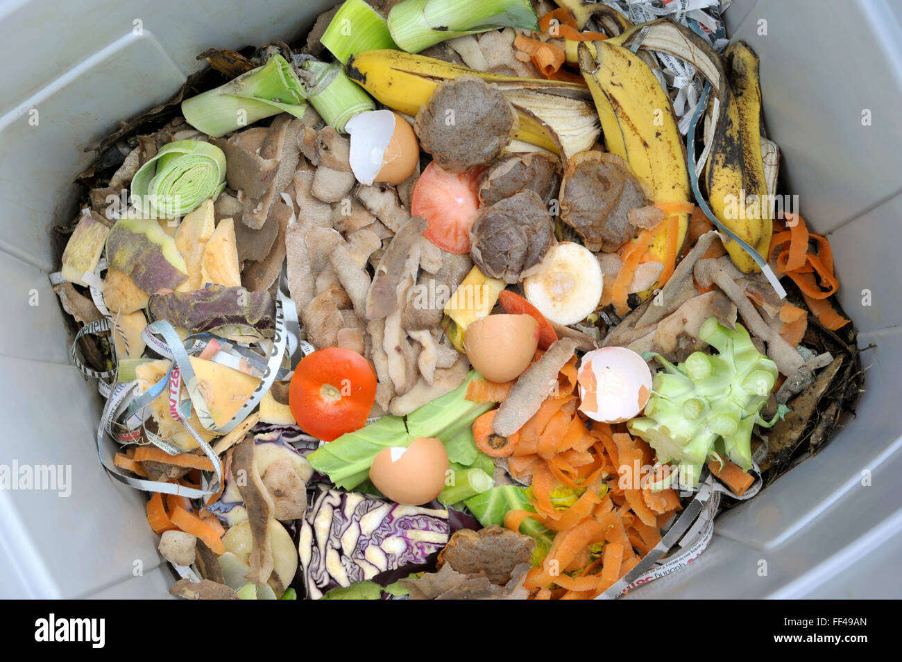 Inside a wormery with vegetable, fruit, general kitchen food waste and ...