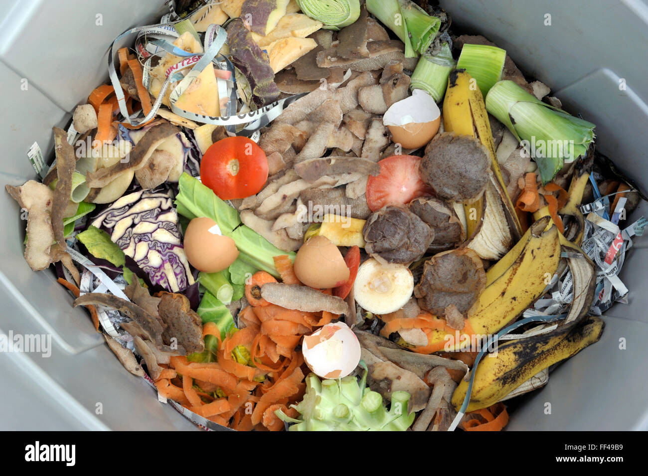 Inside a wormery with vegetable, fruit, general kitchen food waste and ...