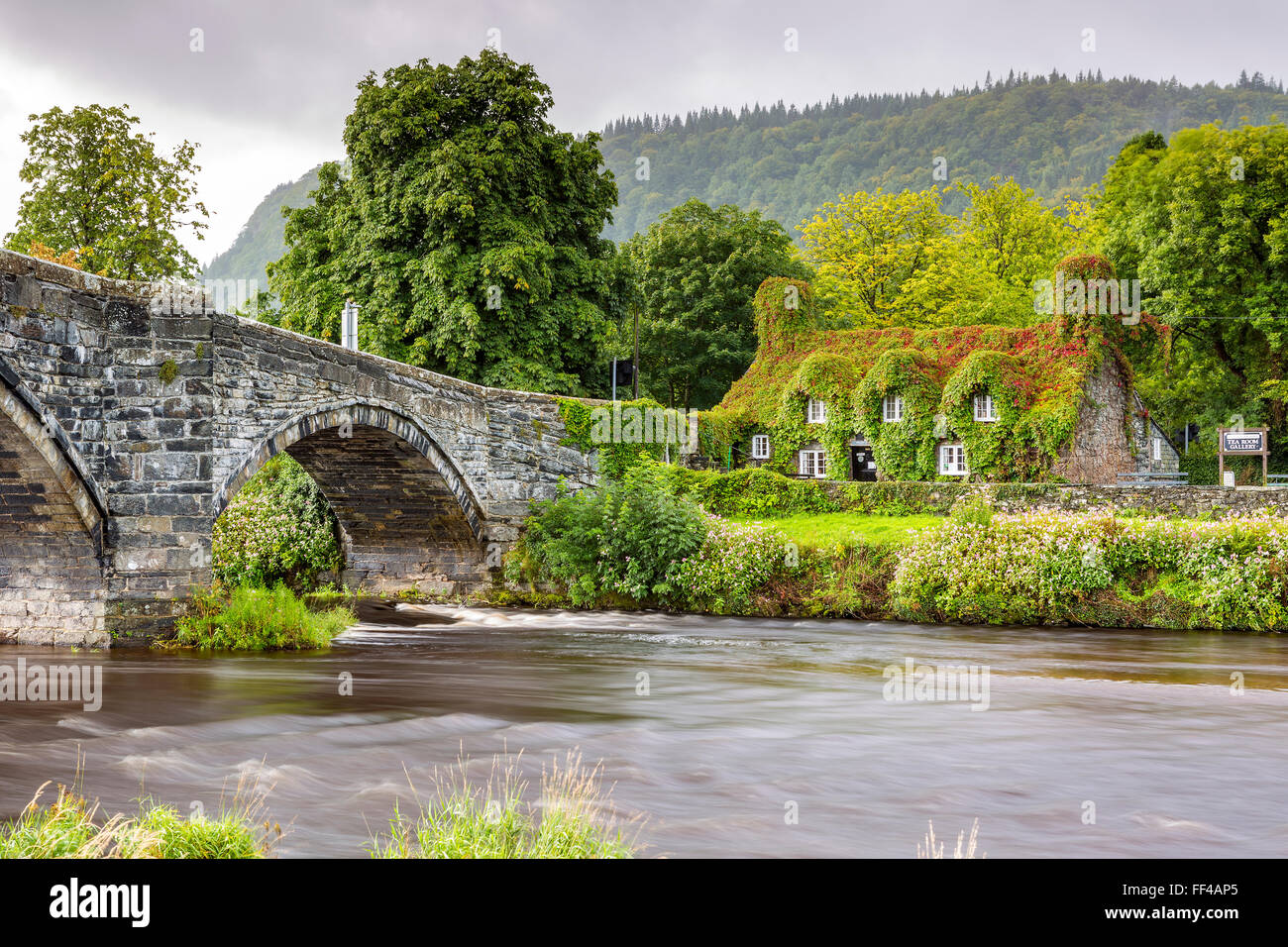 17th century stone bridge over the River Conwy at Llanrwst, with the ivy-clad Tu Hwnt i'r Bont National Trust tearooms on the we Stock Photo