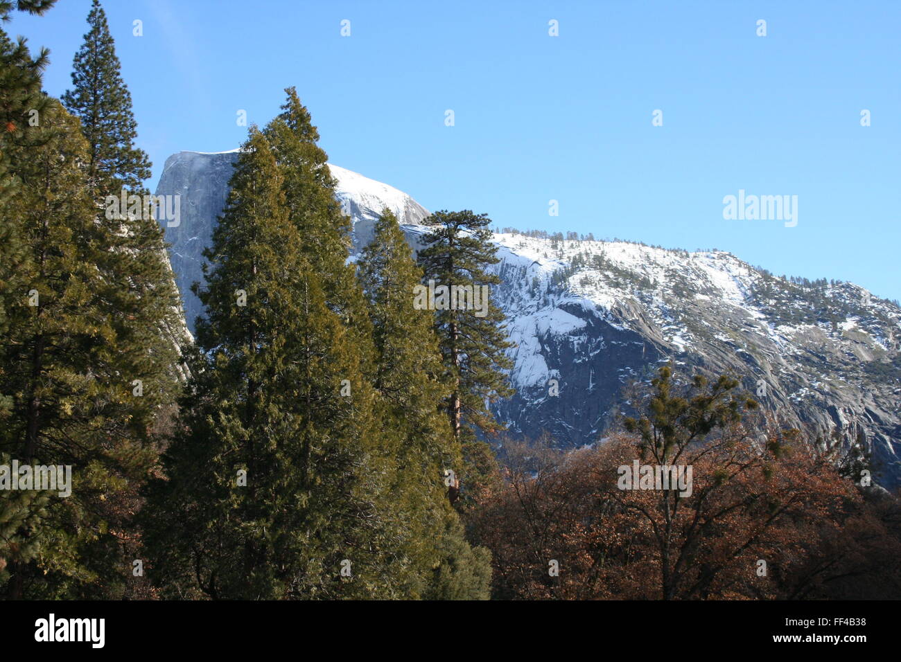 Snow capped mountains of Yosemite with trees in front Stock Photo - Alamy