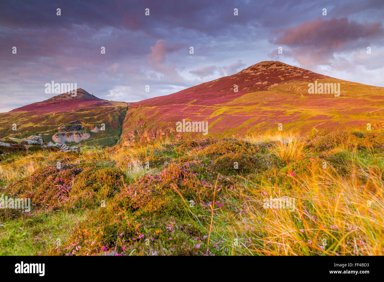 Yr Eifl, Llithfaen, Gwynedd, Wales, United Kingdom, Europe. Stock Photo