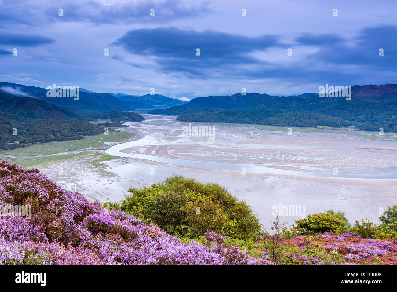 Mawddach Estuary seen from the Panorama Walk above Barmouth, Gwynedd, Wales, United Kingdom, Europe. Stock Photo