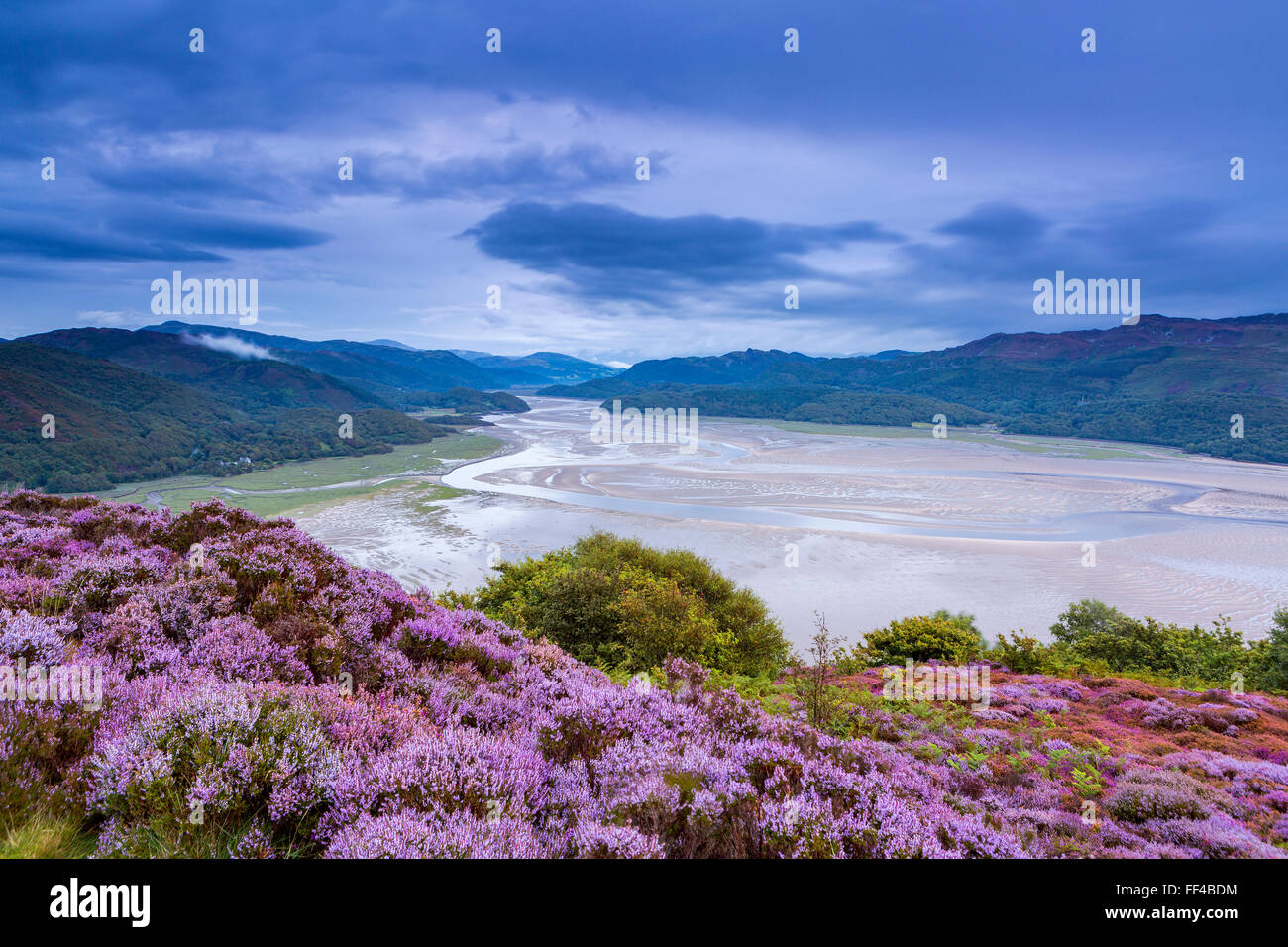 Mawddach Estuary seen from the Panorama Walk above Barmouth, Gwynedd, Wales, United Kingdom, Europe. Stock Photo