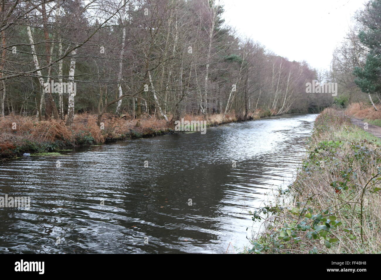 Basingstoke Canal below Monument Road, Woking, Surrey Stock Photo Alamy