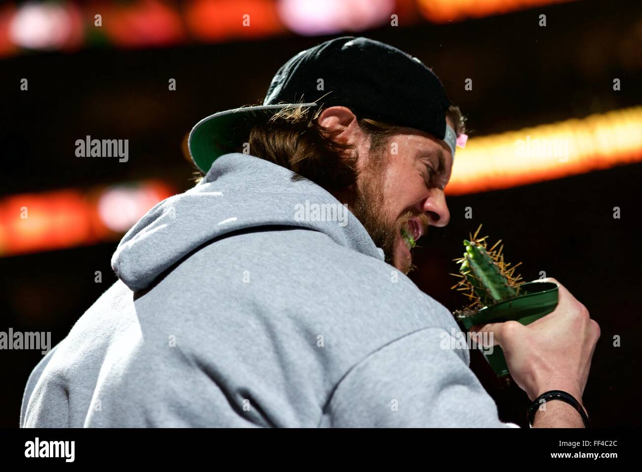 Youtube personality Kevin Strahle, (a.k.a L.A. Beast) eats a cactus during  Wing Bowl XXIV in Philadelphia, PA Stock Photo - Alamy