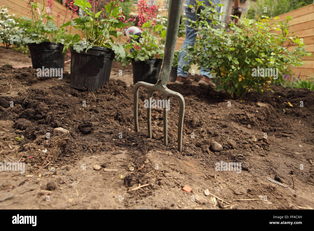 Garden plants in pots with a fork embedded in soil ready for a landscaping job in the garden of a newly renovated Brooklyn townhouse Stock Photo