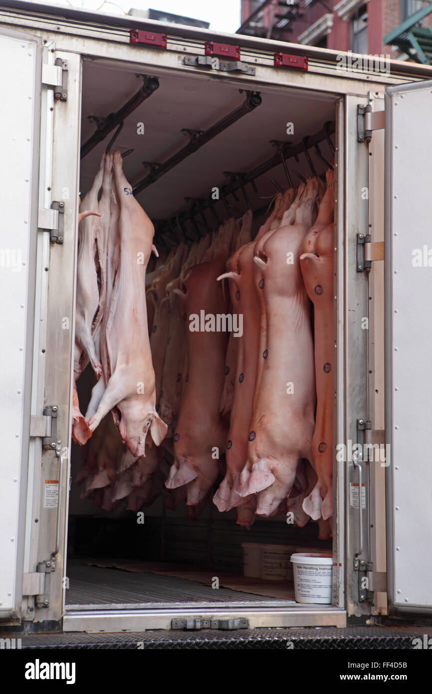 Truck delivering pigs to a New York Chinatown restaurant on Mott Street Stock Photo