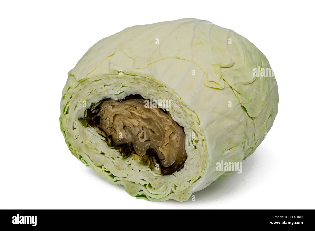 Rotten cabbage hires stock photography and images Alamy