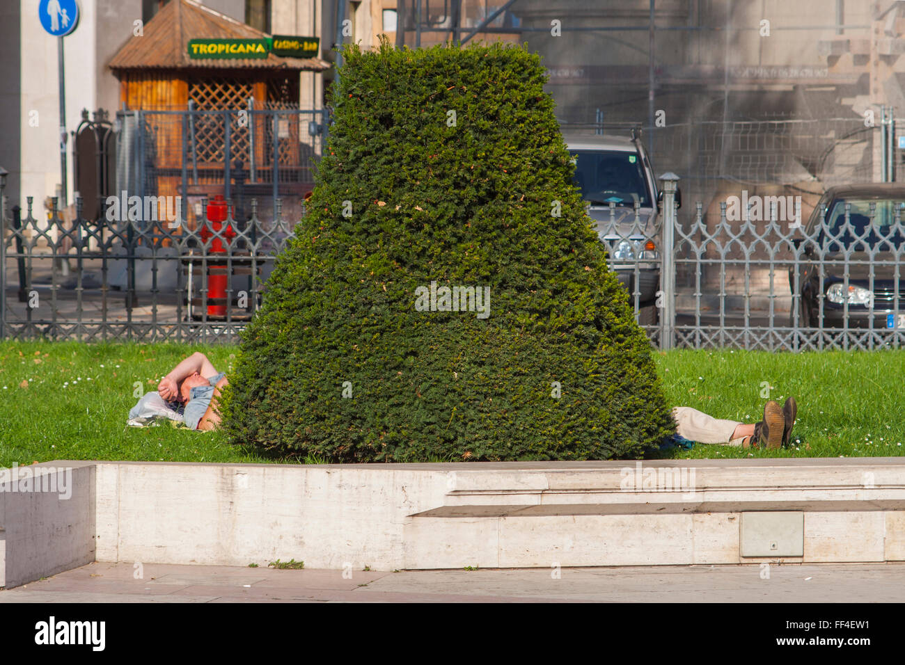 Man having nap behind ornamental hedge, Budapest, Hungary Stock Photo