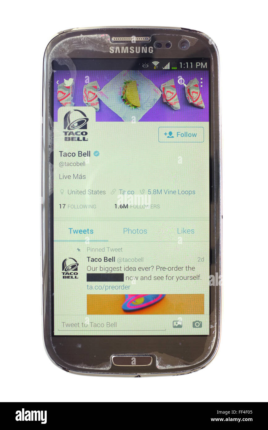 The Taco Bell Twitter account on a smartphone photographed against a