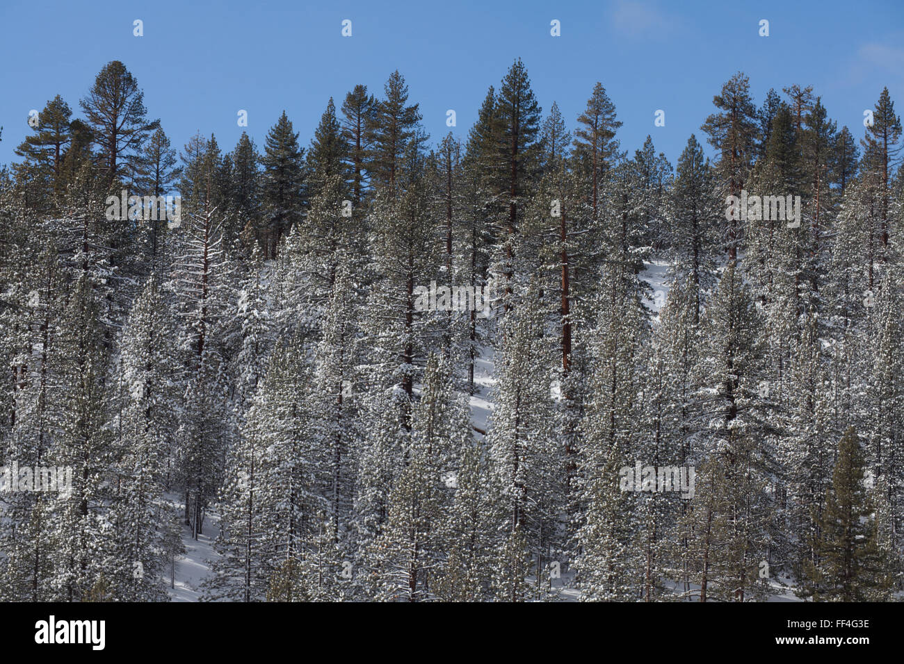 California Eastern Sierras in winter Stock Photo