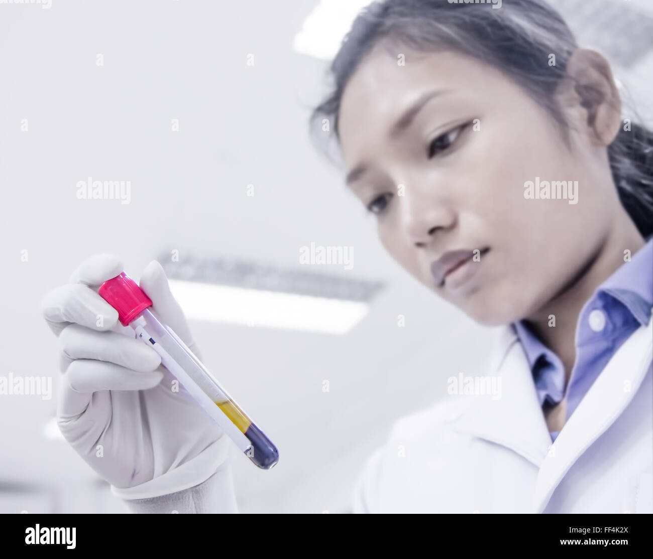 Doctor in lab examines the blood sample in a tube Stock Photo