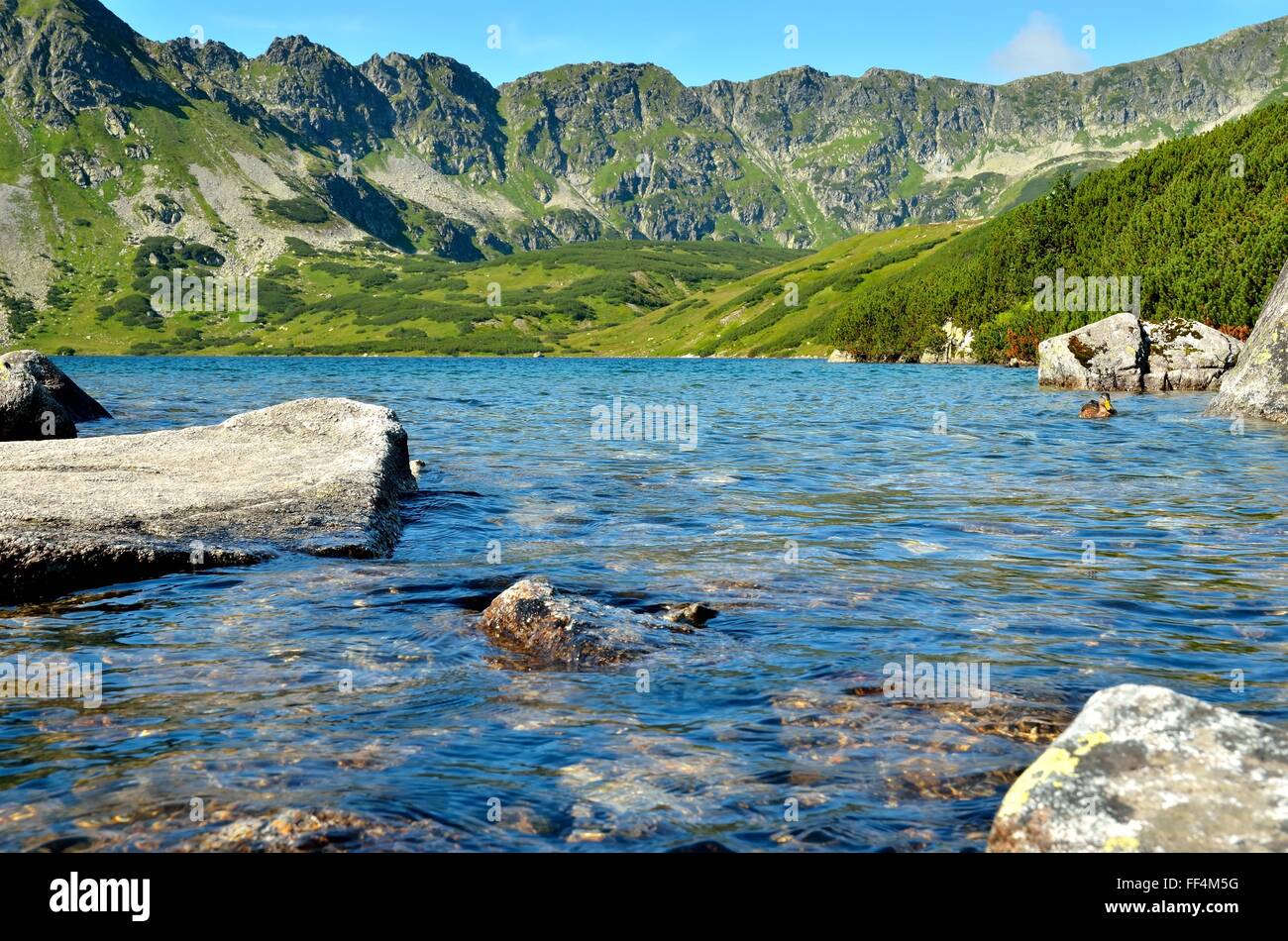 Summer mountain landscape. Lake in the Valley of Five Polish Ponds in