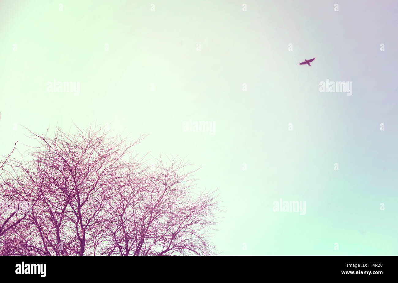 Winter tree and bird flying free in the sky, vintage style filter effect. Stock Photo