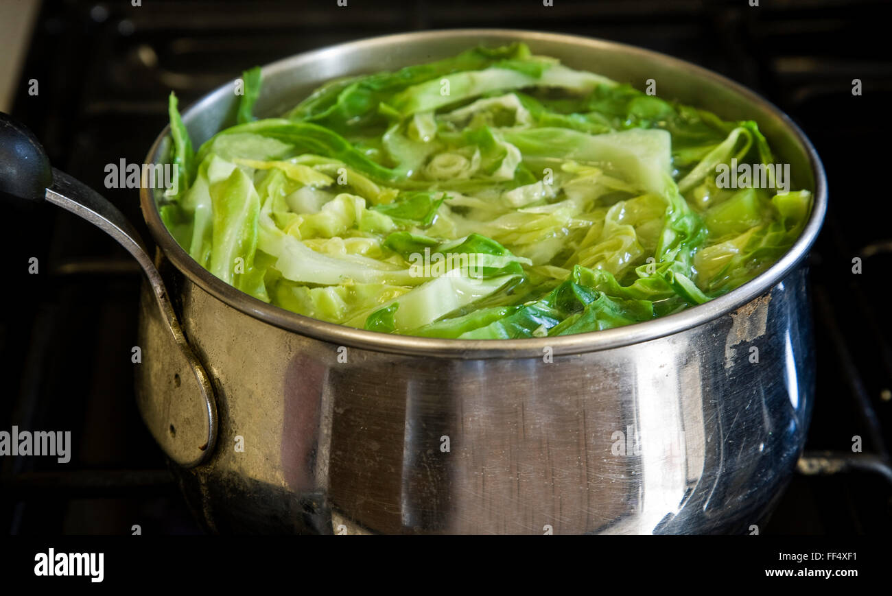 Shredded cabbage hires stock photography and images Alamy