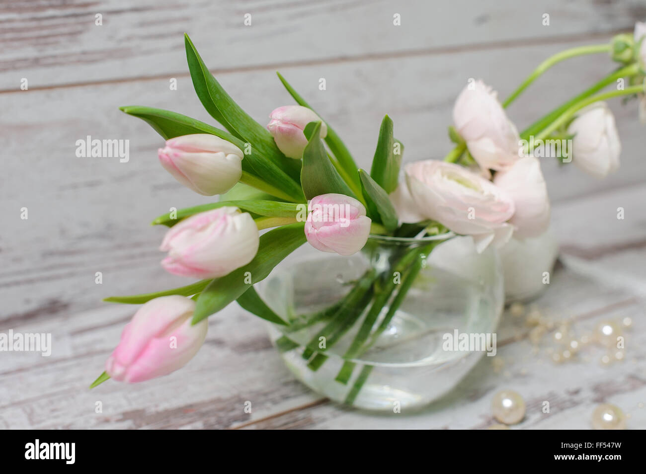 Tulips in a glass vase with water, standing on a light background or vintage wooden floor. Stock Photo