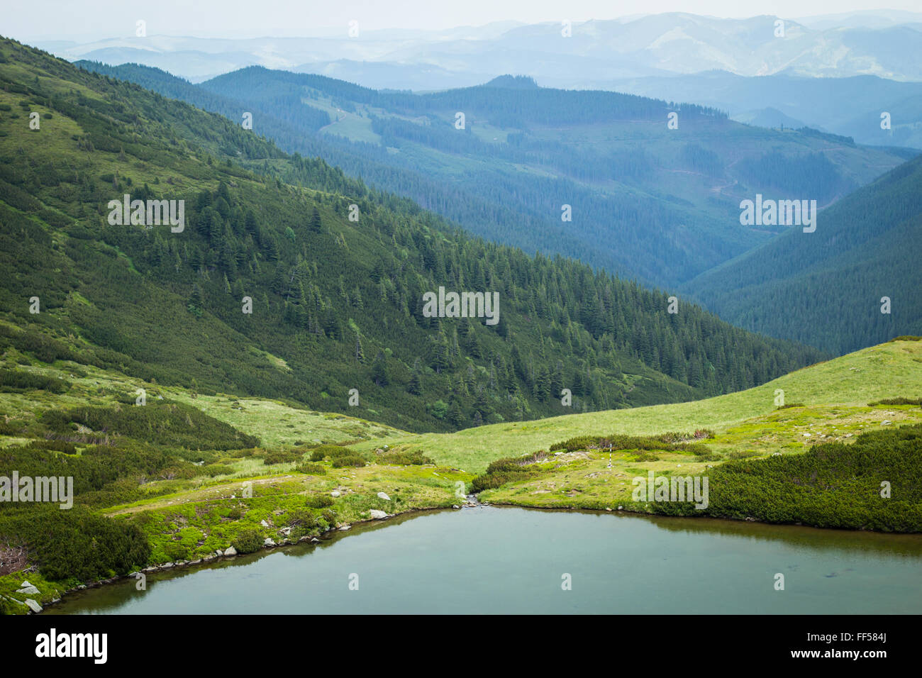 Mountain landscape with forest and lake Stock Photo - Alamy