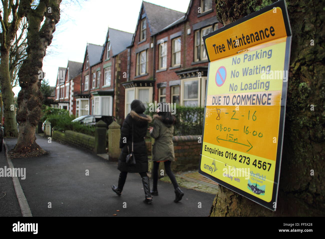 A sign on a tree indicates tree maintenance is scheduled on tree-lined ...