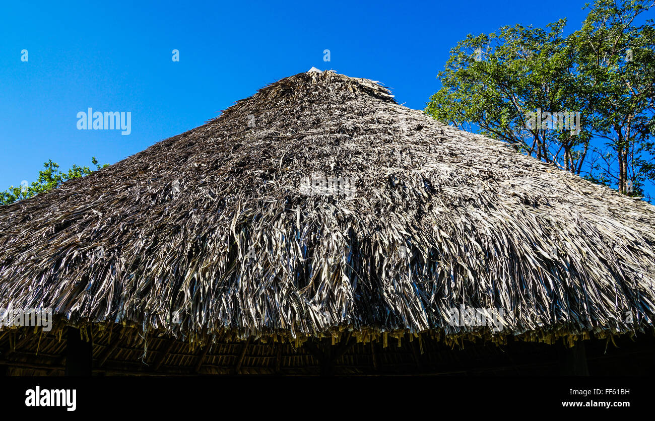 Roof made of dry palm leaves, front Side and blue sky Stock Photo - Alamy