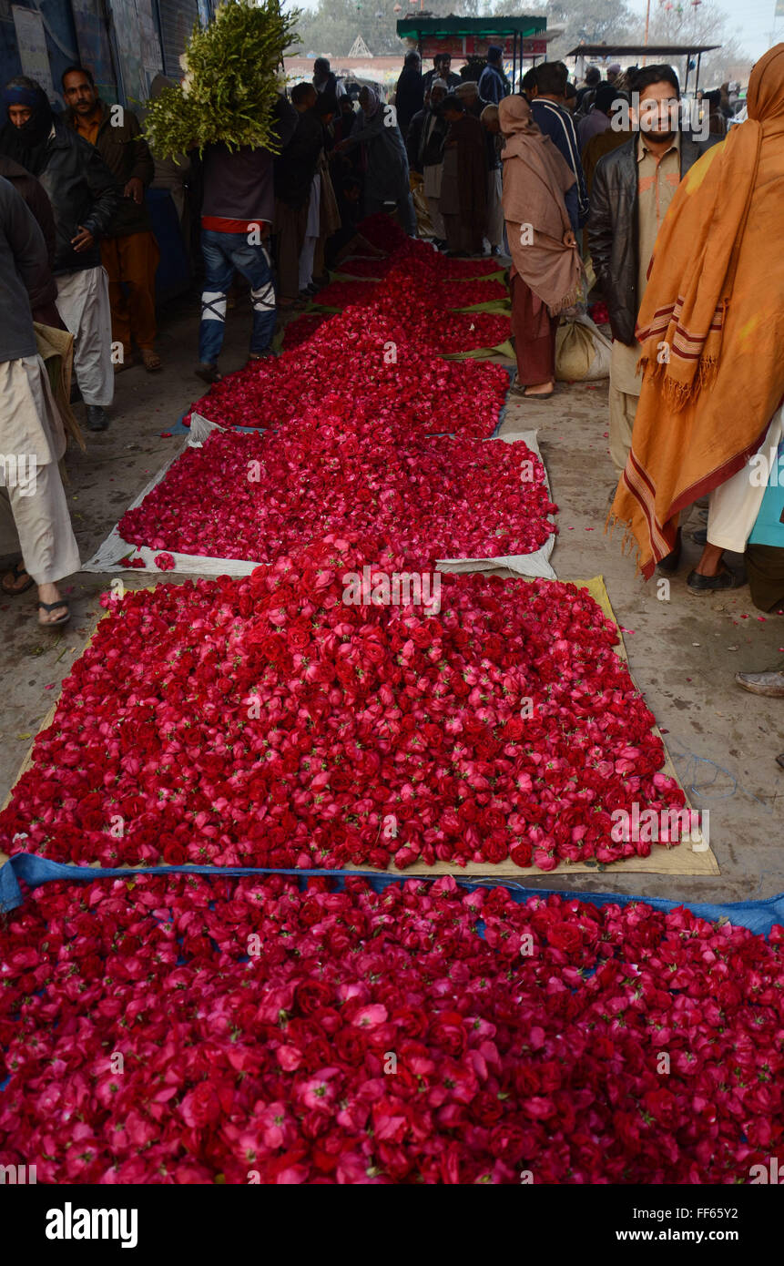 Lahore, Pakistan. 11th Feb, 2016. Pakistani flower vendor display fresh