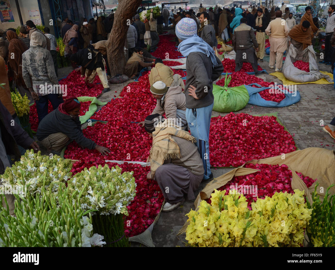 Lahore, Pakistan. 11th Feb, 2016. Pakistani flower vendor display fresh