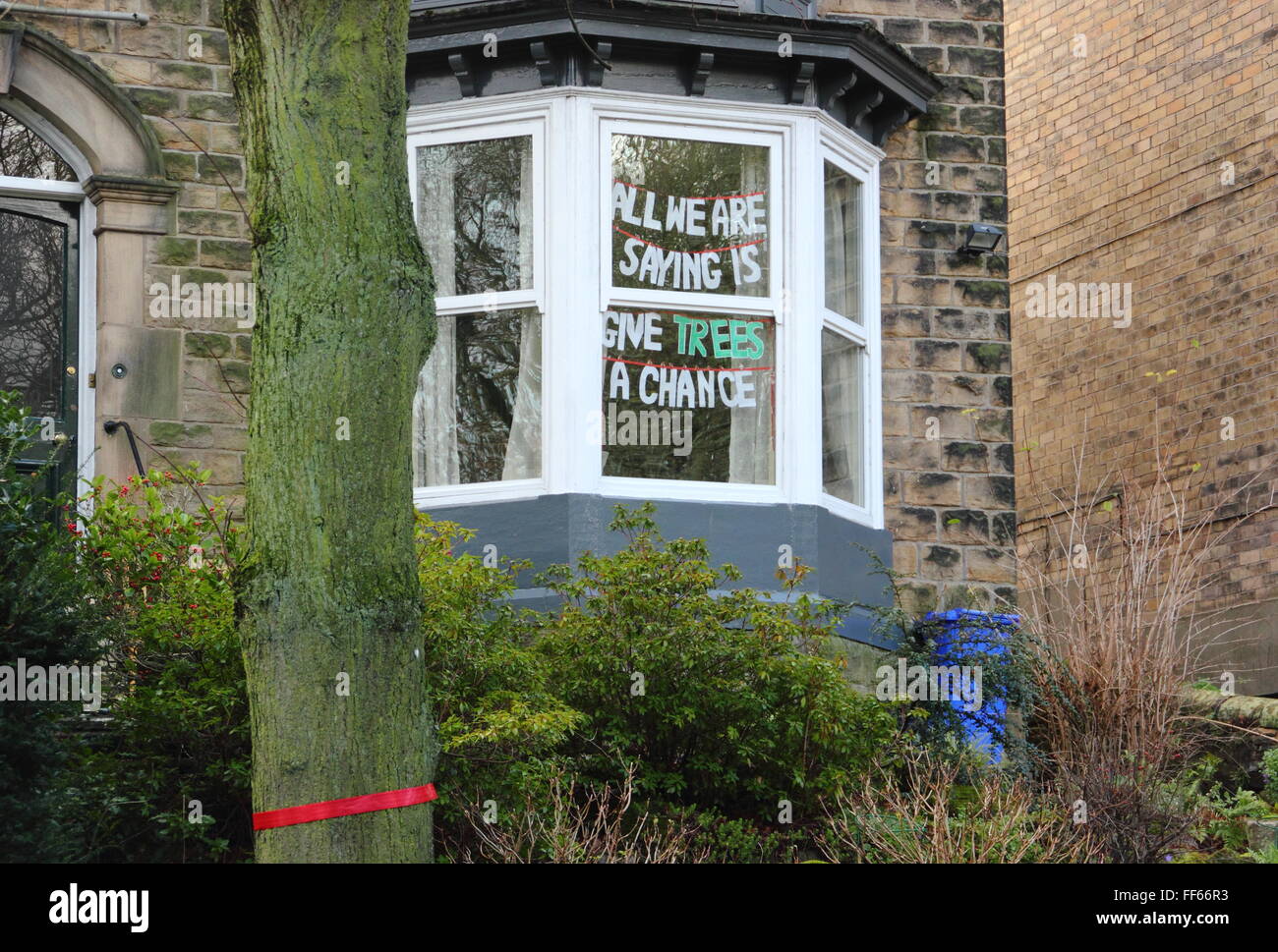 A ribbon marks a tree set for felling beside a protest sign on ...