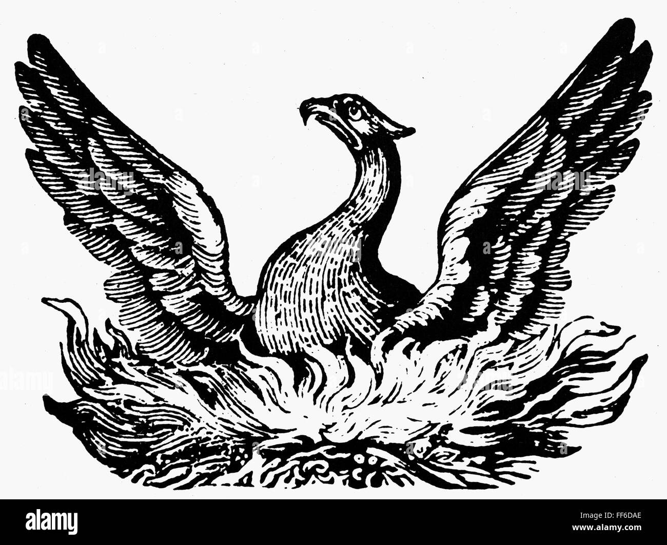 Phoenix rising from ashes Black and White Stock Photos & Images - Alamy