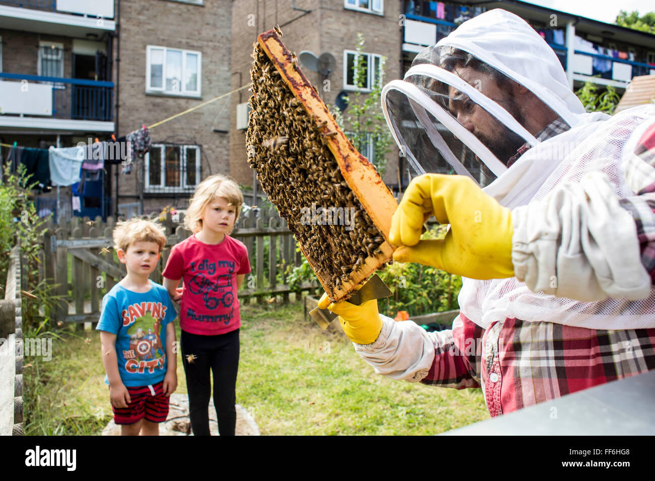 Children watching the bee keeper inspect the honey frames of the bee hives. Urban bee keeping, community garden project, George Downing Estate, Hackney, East London. Stock Photo