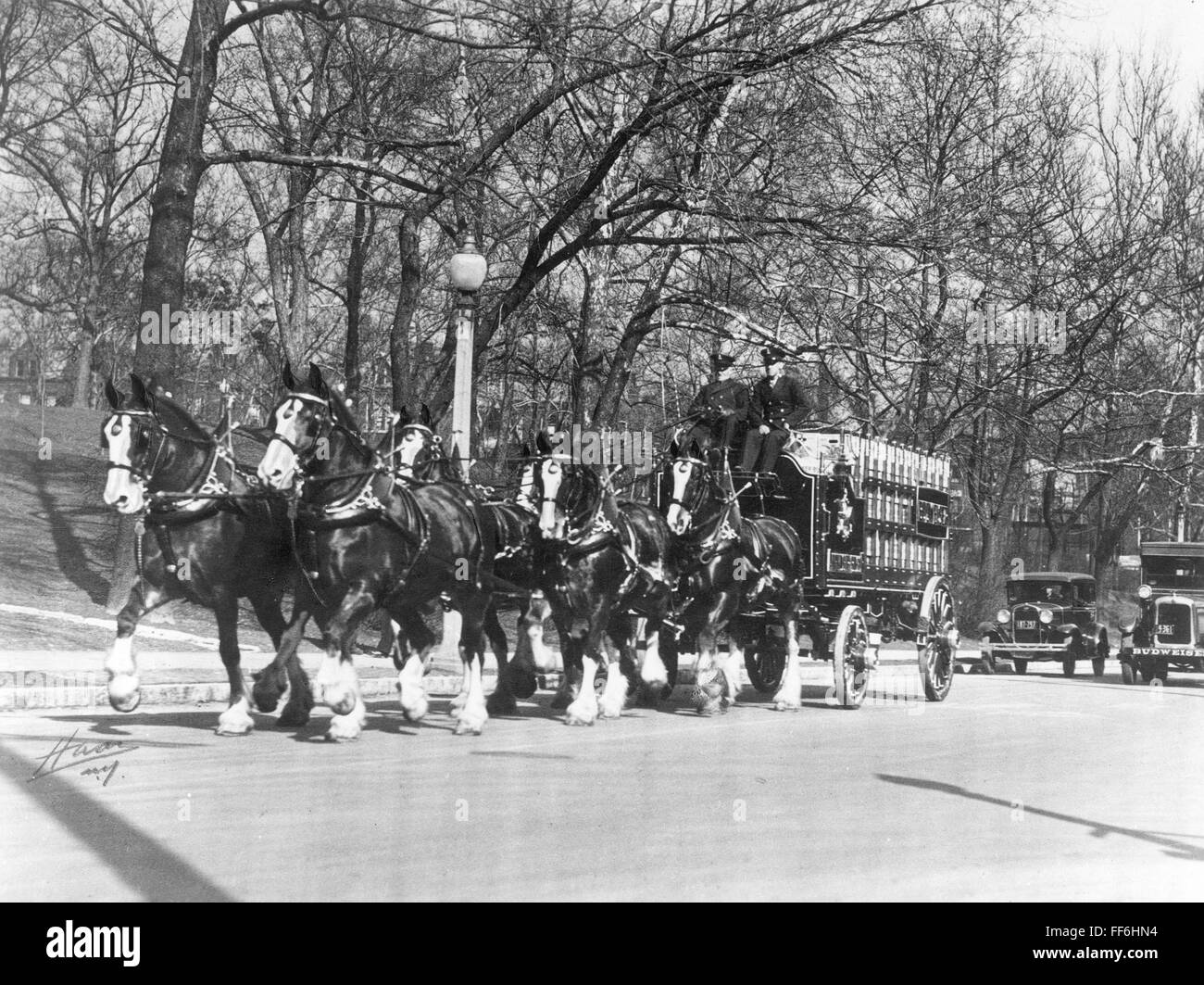 PROHIBITION REPEAL, 1933. /nAnheuser-Busch team on the streets of St. Louis, Mo., following the repeal of the 18th (Prohibition) Amendment, Dec. 1933. Stock Photo