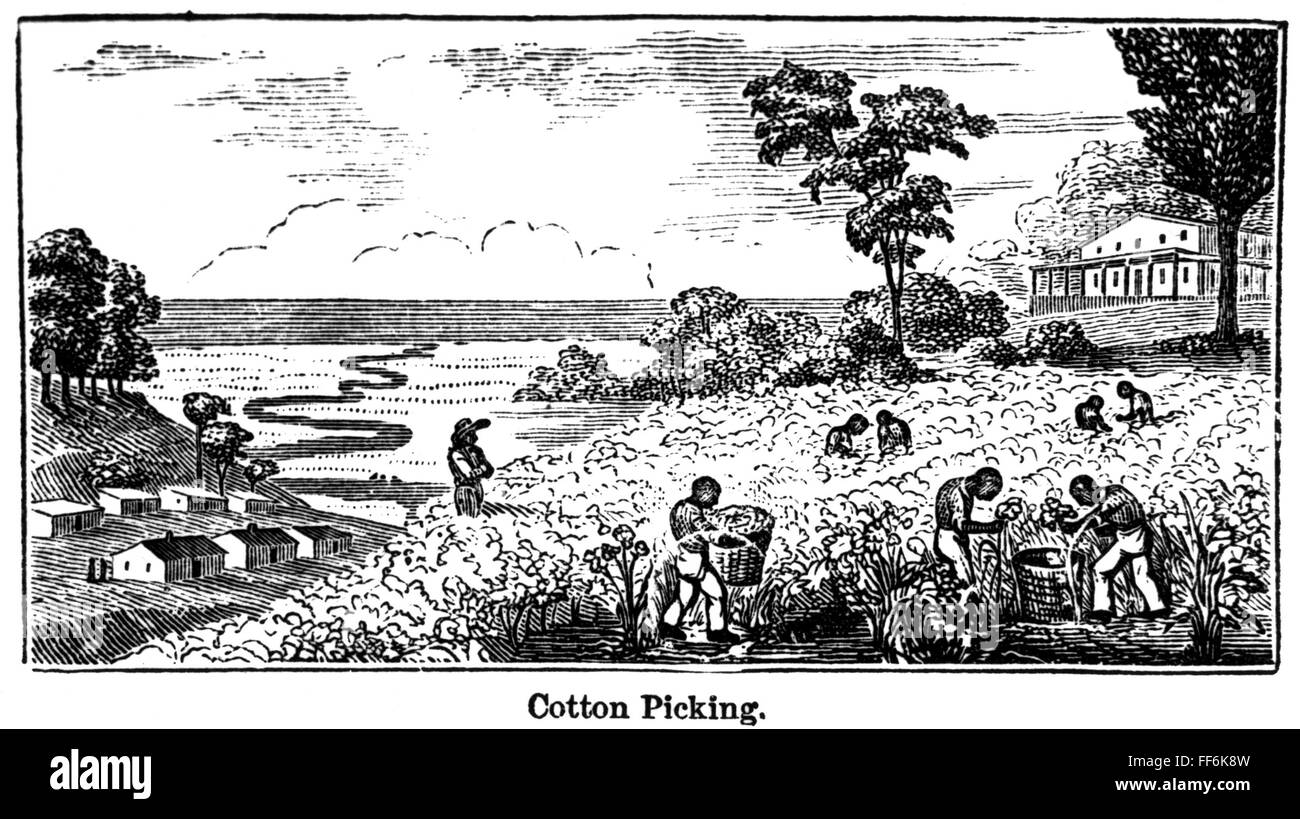 SLAVERY PLANTATION LIFE. /nWood engraving, American, c1850 Stock Photo