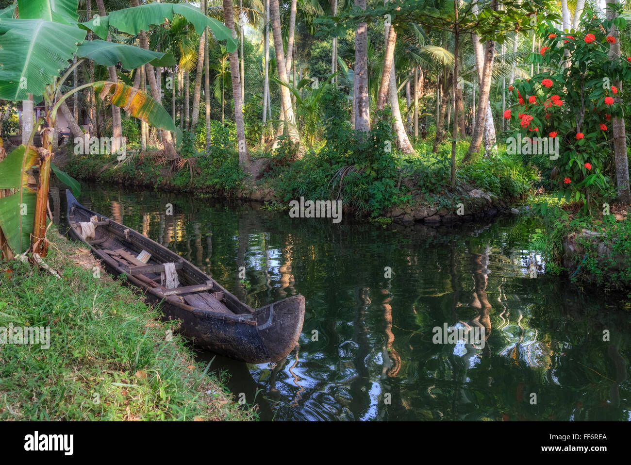 Alappuzha, Backwaters, Kerala, South India, Asia Stock Photo