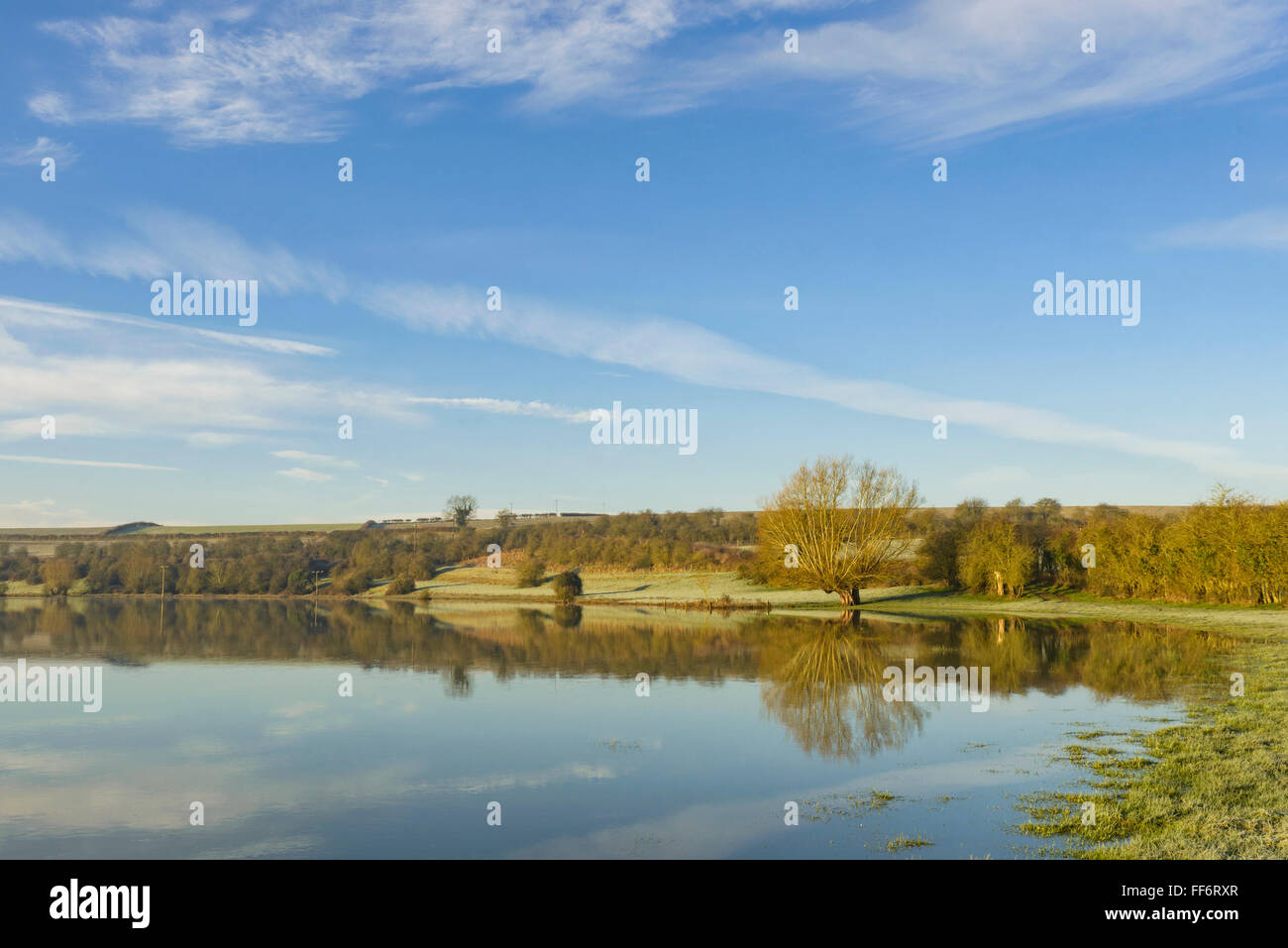 Northbrook, Oxfordshire. 11th February, 2016. UK Weather: Cold, sunny morning in flooded water meadow at Northbrook, near Tackley, in the Cherwell valley, Oxfordshire. 11 February, 2016 Credit:  Ben Ramos/Alamy Live News Stock Photo
