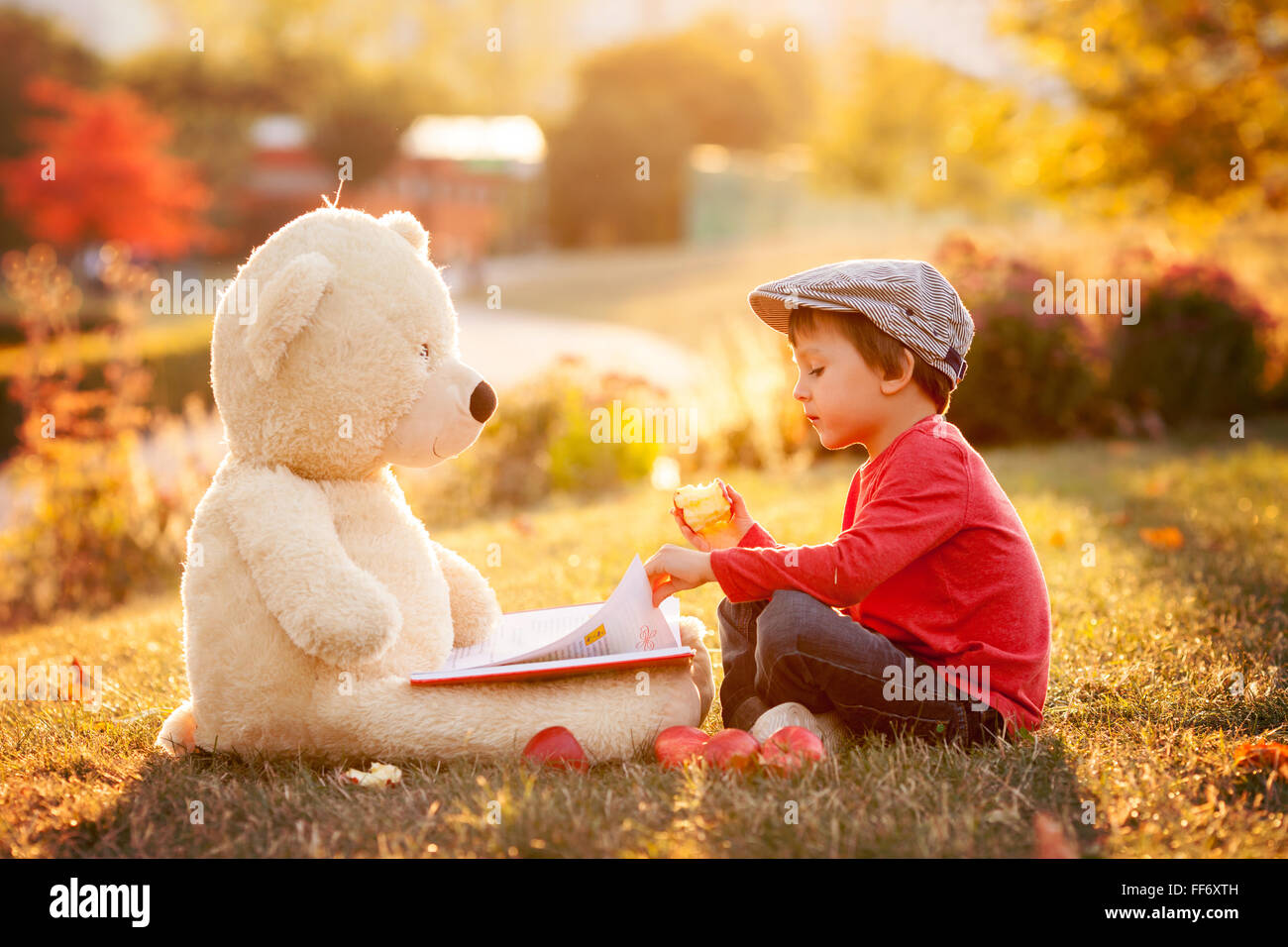 Adorable little boy with his teddy bear friend in the park on sunset ...