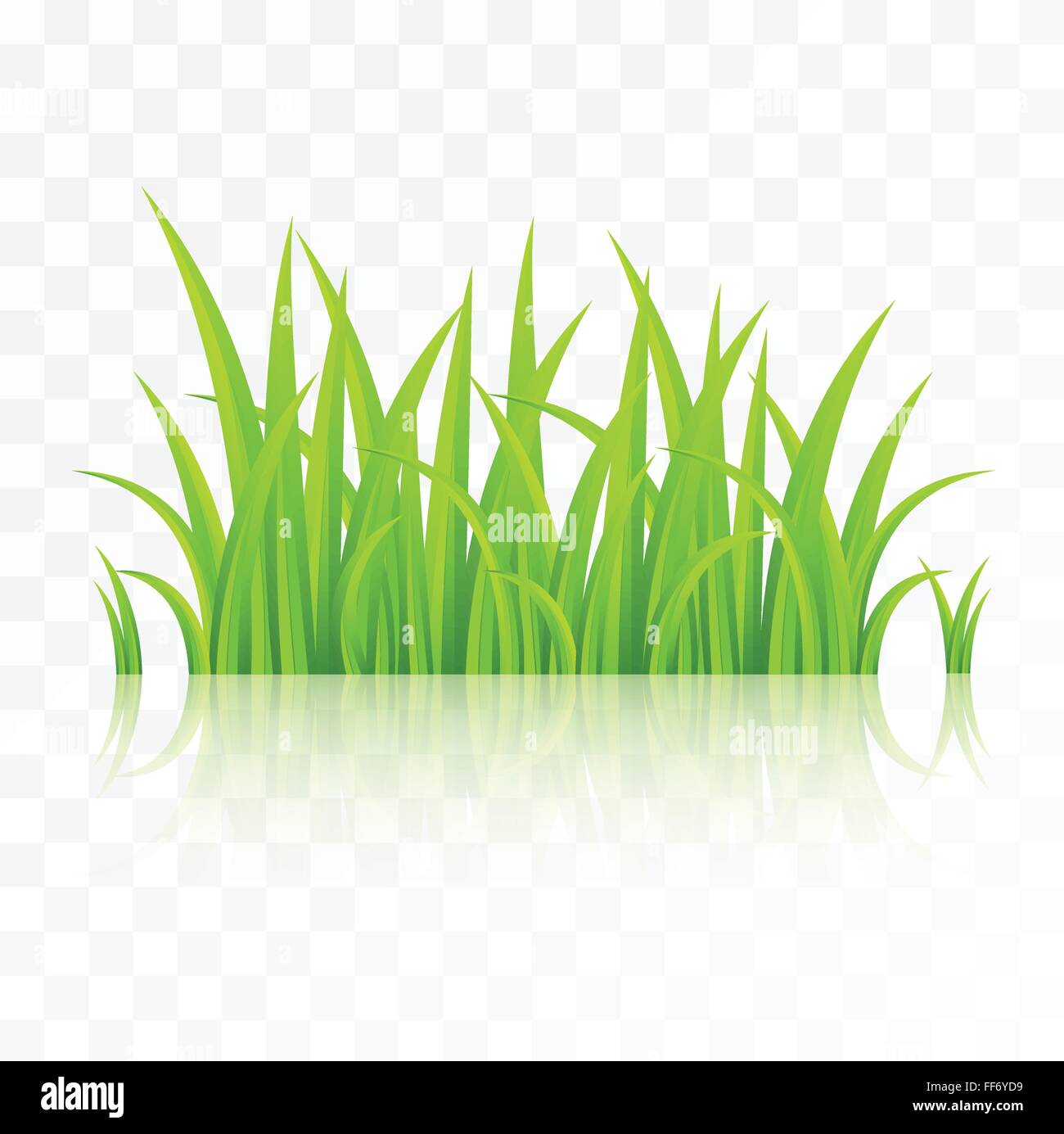Grass isolated on transparent background Stock Vector Image & Art - Alamy