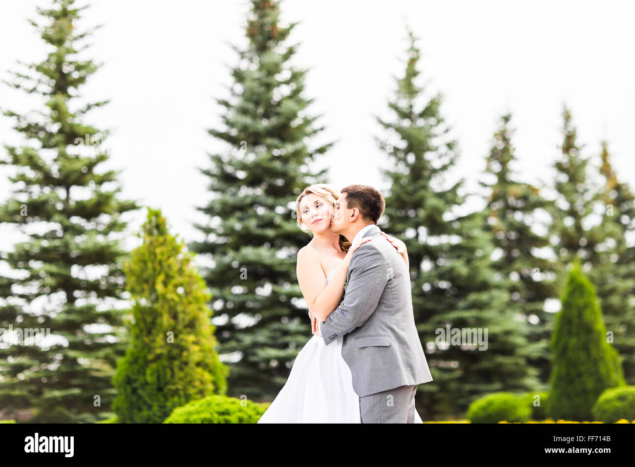 Groom kissing bride on their wedding day Stock Photo - Alamy