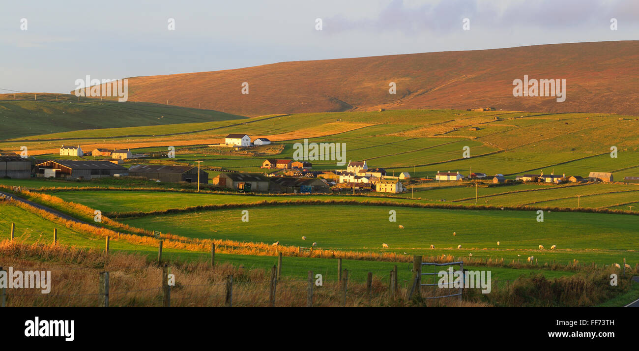A view across farmland and Hillwell to Fitful Head, south Mainland, Shetland, Scotland, UK. Stock Photo