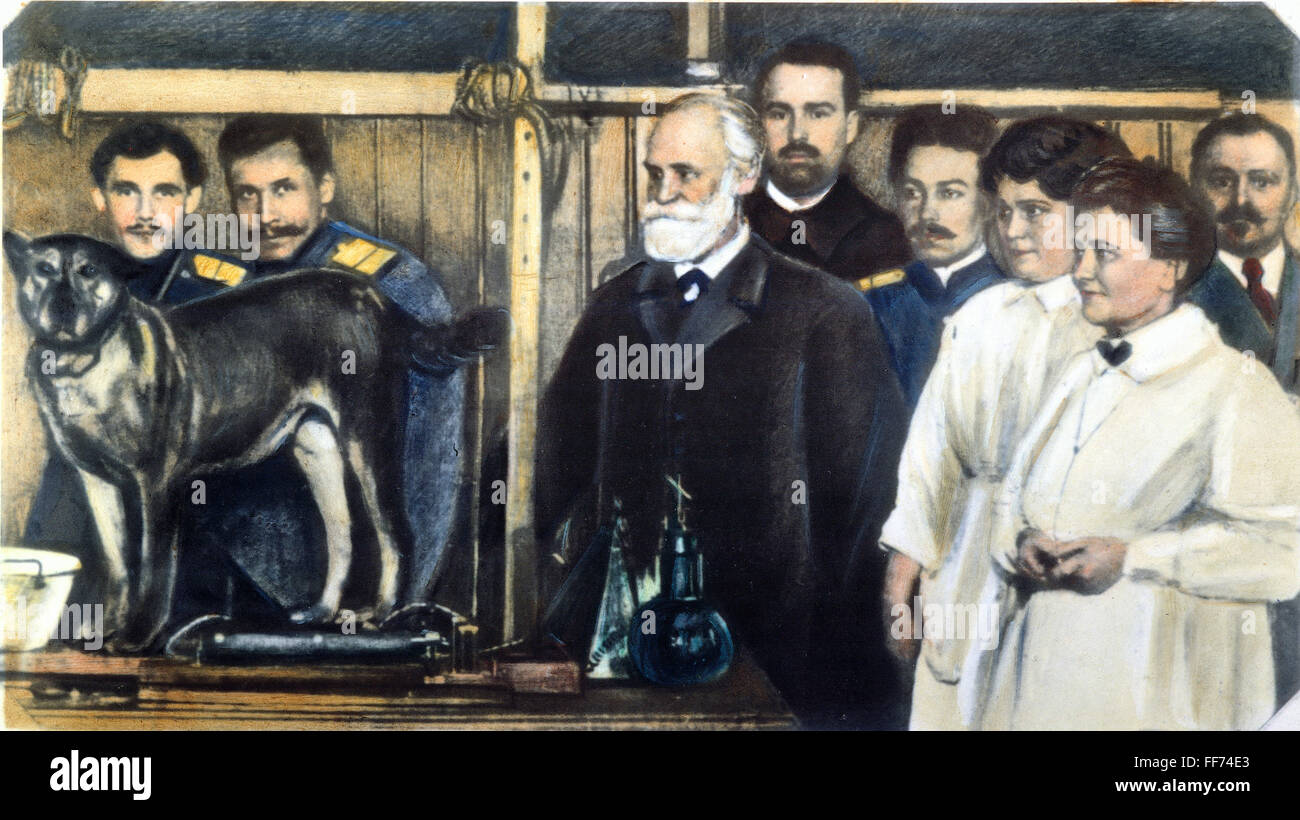 IVAN PETROVICH PAVLOV /n(1849-1936). Russian physiologist. Pavlov (center, with beard) with assistants and students at the Imperial Military Academy of Medicine, St. Petersburg, 1912-14, prior to a demonstration of his experiment on a dog. Oil over photog Stock Photo