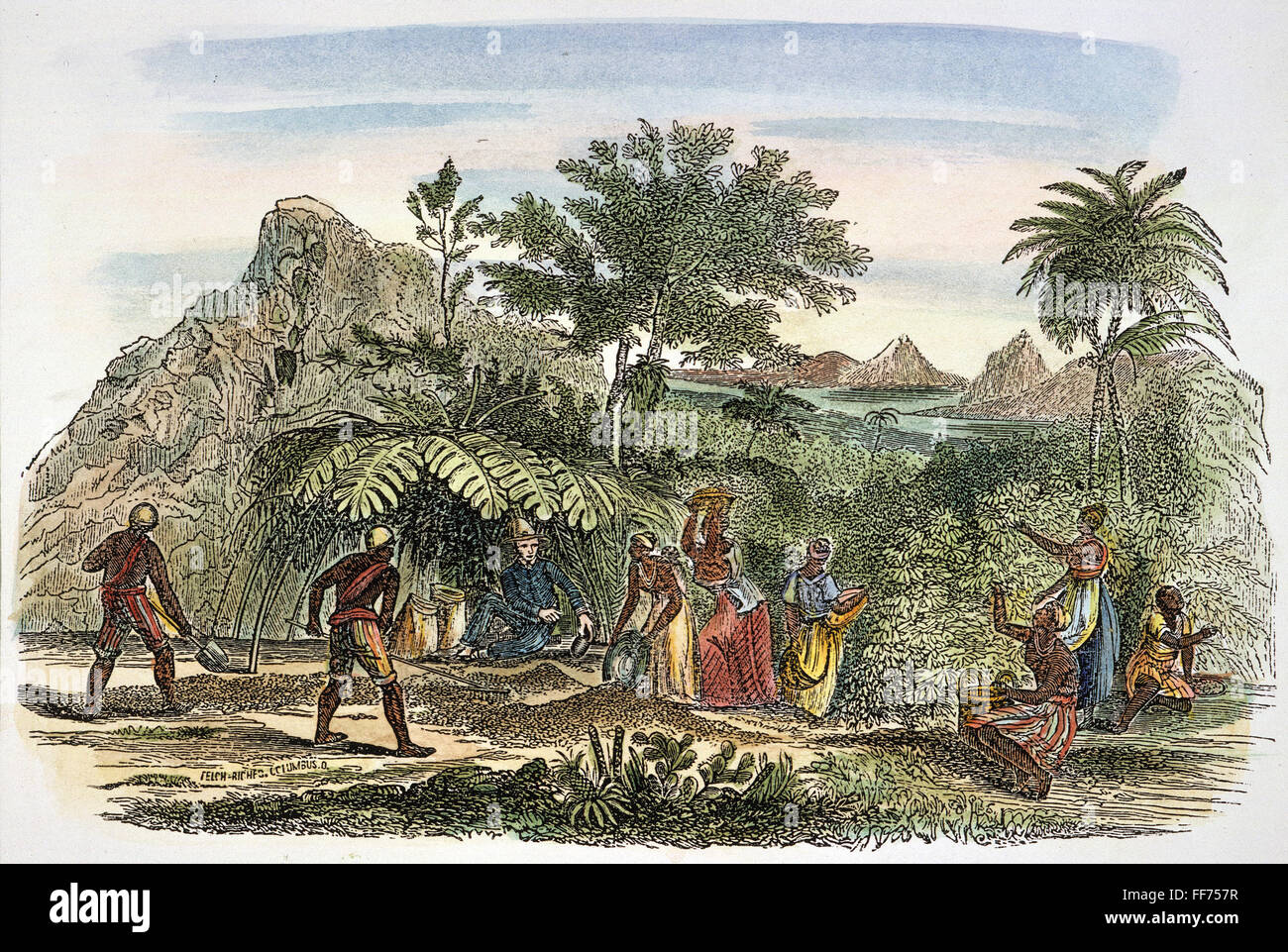 PLANTATION: COFFEE, 1857. /nBlack slaves on a coffee plantation in the Brazilian highlands. Engraving, 1857. Stock Photo
