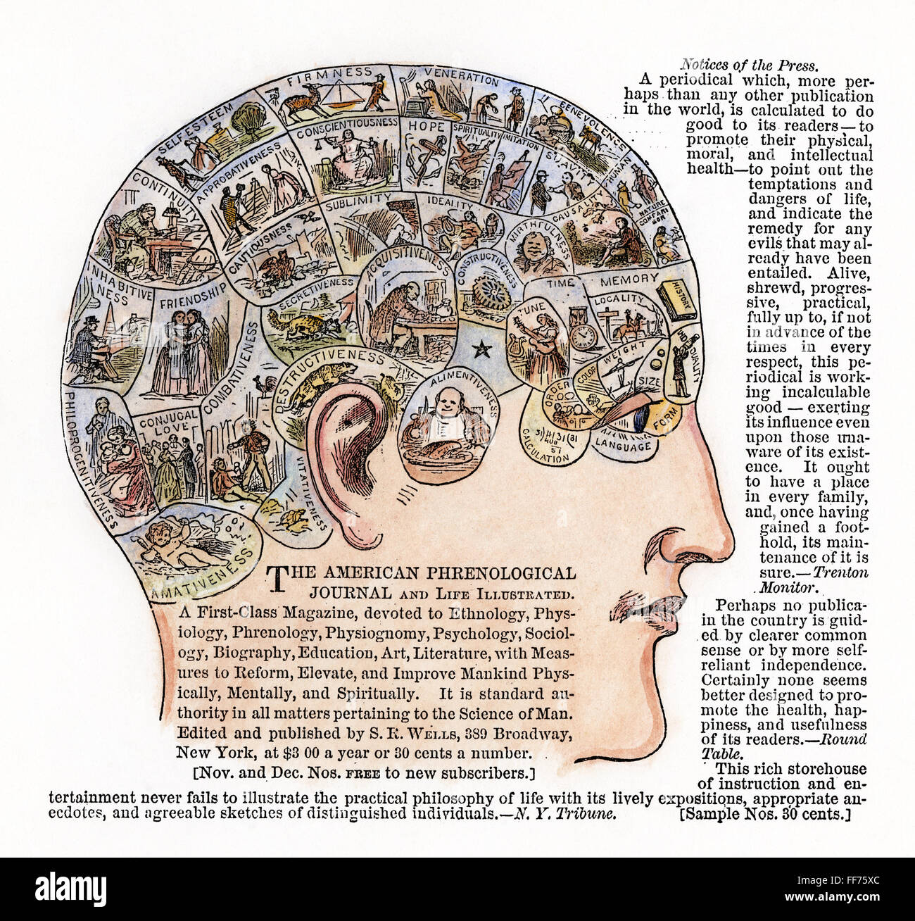 PHRENOLOGY, 1867. /nAdvertisement for the 'American Phrenological Journal,' 1867. Stock Photo