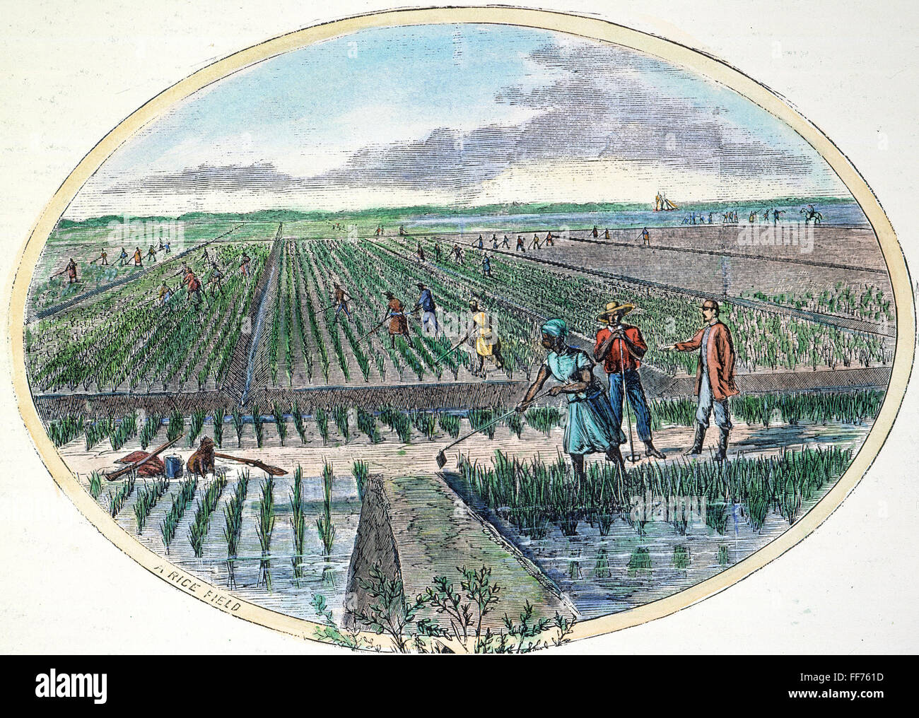 RICE PLANTATION, 1867. /nRice culture in the American South. Engraving, 1867. Stock Photo