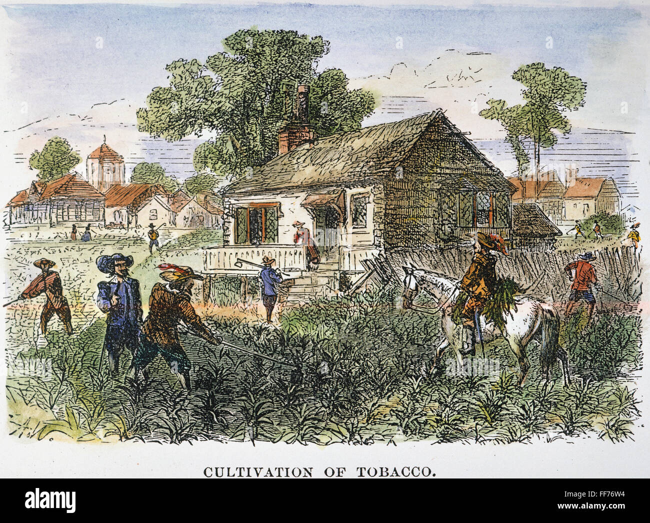 Потомок колонистов. Южане Плантаторы США 19 век. Плантации табака в Америке 18 век. Аграрное хозяйство Англии 18-19 век. Аграрный сектор Англии 19 век.