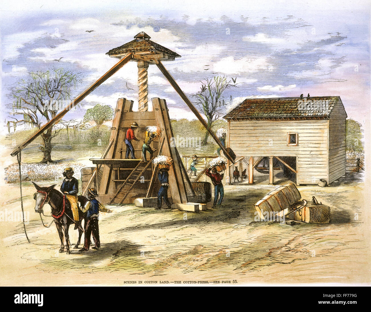 COTTON PRESS, 19th CENTURY. /nThe woodenscrew cotton press on a