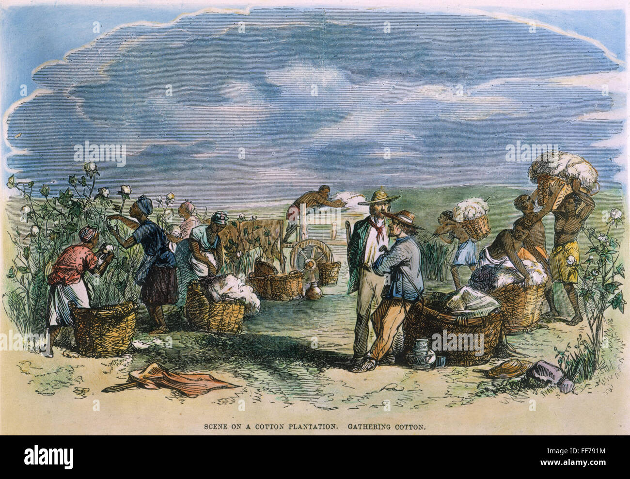 PLANTATION: COTTON. /nOverseers and slaves on a cotton plantation in the American South, c1860: colored engraving, 19th century. Stock Photo