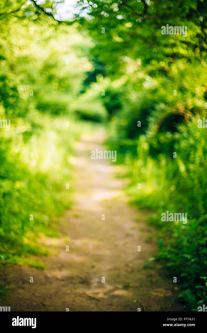 Blurred abstract bokeh natural background of Walkway Path Lane in Summer Park. Stock Photo