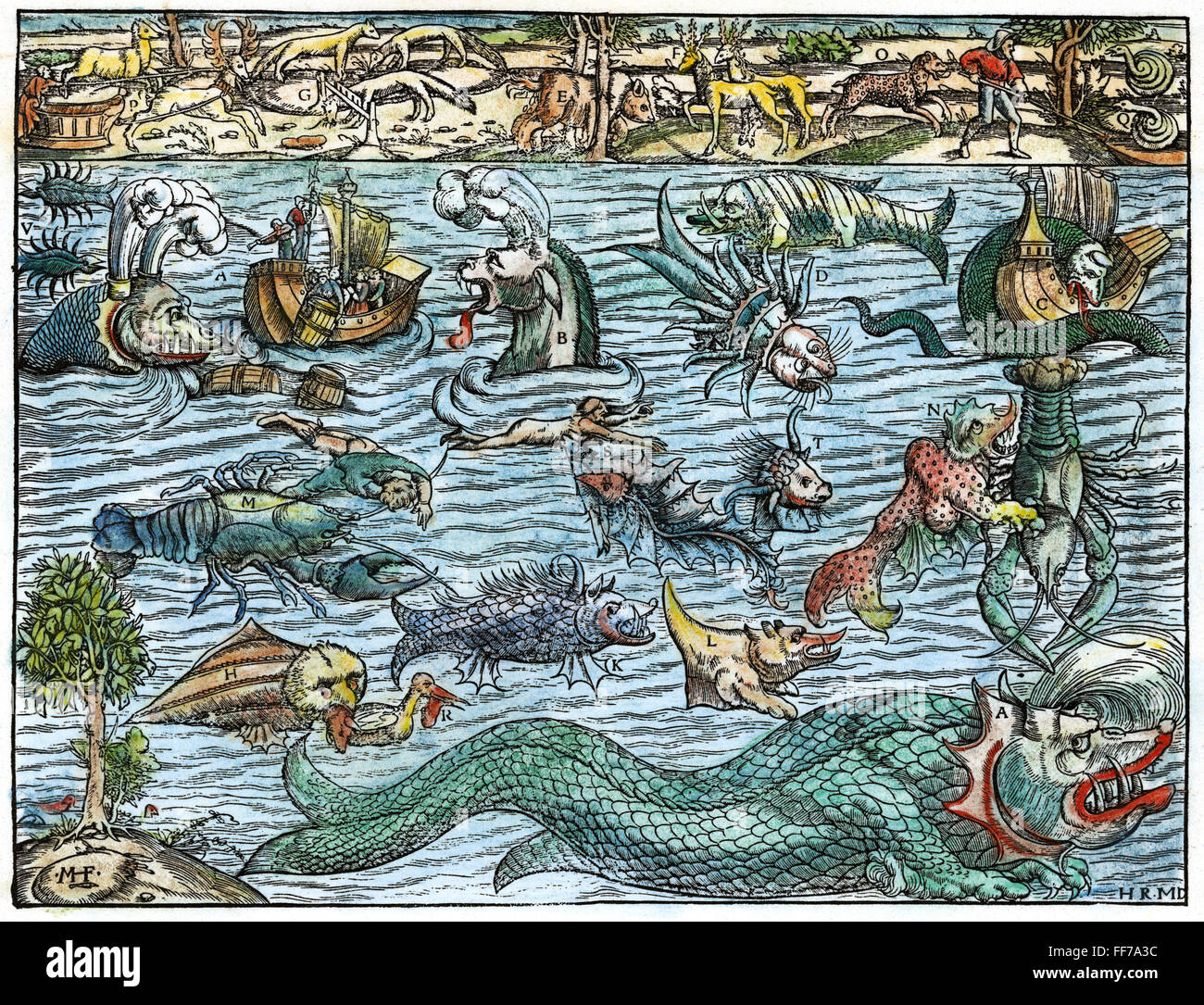 SEA MONSTERS, 1550. /nSea monsters inhabiting the north Atlantic and animals found in northern lands. Woodcut from Sebastian Mⁿnster's 'Cosmographia,' Basle, 1550. Stock Photo